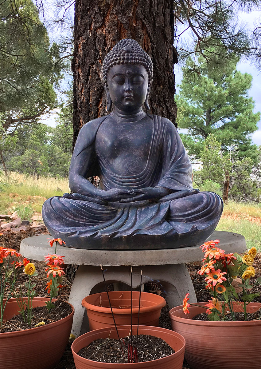 Buddha image in our back yard