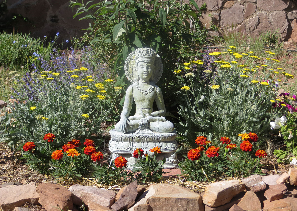Buddha garden