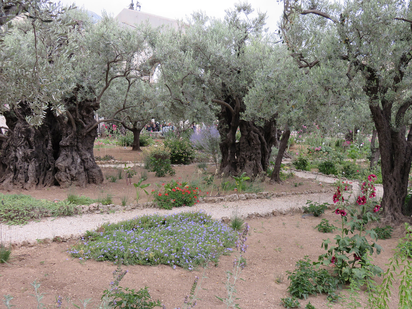 Garden of Gethsemane