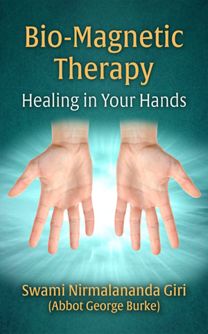 Bio-Magnetic Therapy cover