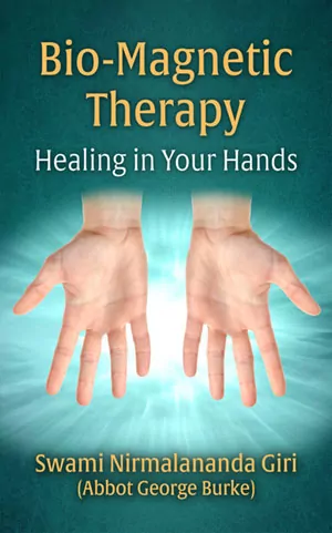Bio-Magnetic Therapy cover