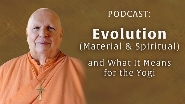 Evolution (Material & Spiritual) and What it Means for the Yogi