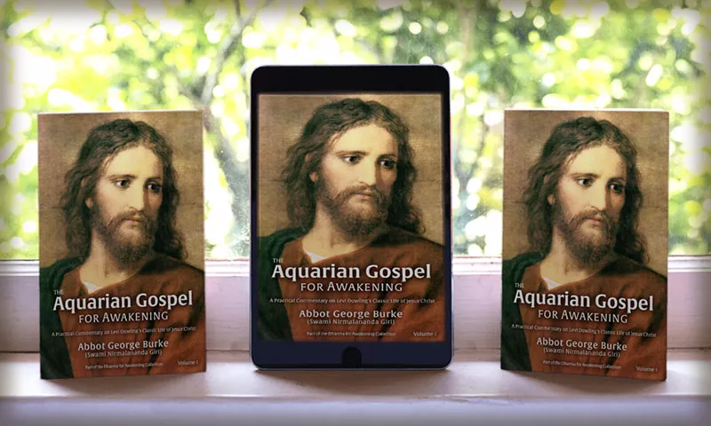The Aquarian Gospel for Awakening book cover