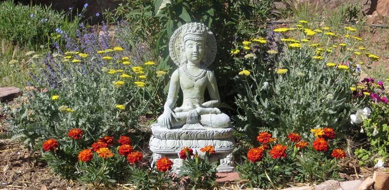 Buddha Garden