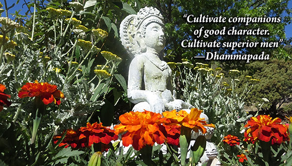 Buddha quote: friends