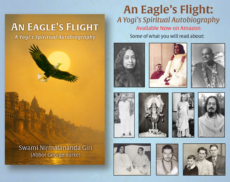 Eagle's Flight featured images