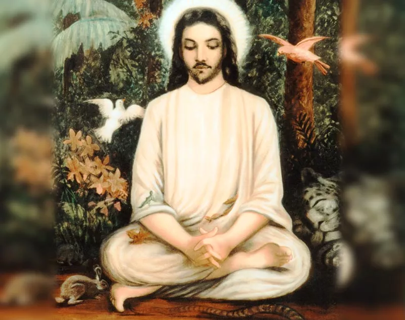Jesus in the Forest feature