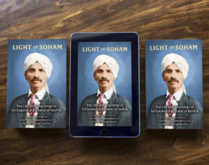 Light of Soham book cover