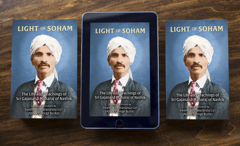 Light of Soham book cover