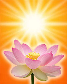 lotus opening to sun - spiritual evolution