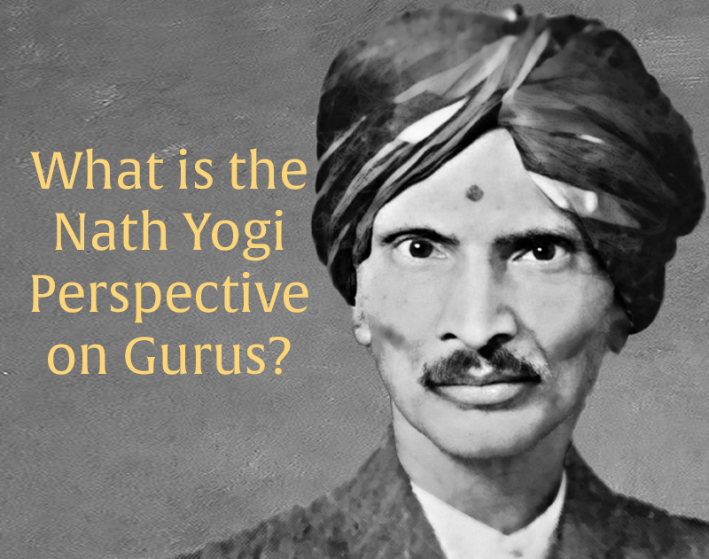 Nath Yogi Gurus What is Their Perspective?