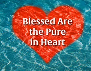 Blessed are the pure in heart