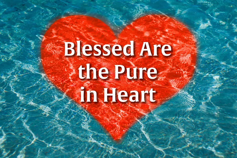 Forgive: Blessed are the pure in heart