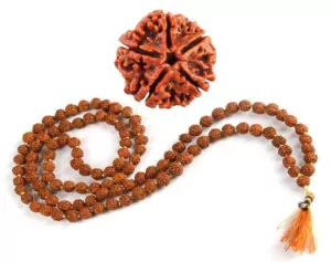rudraksha beads