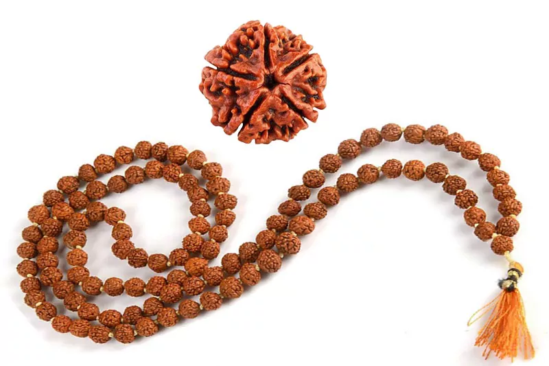 rudraksha beads